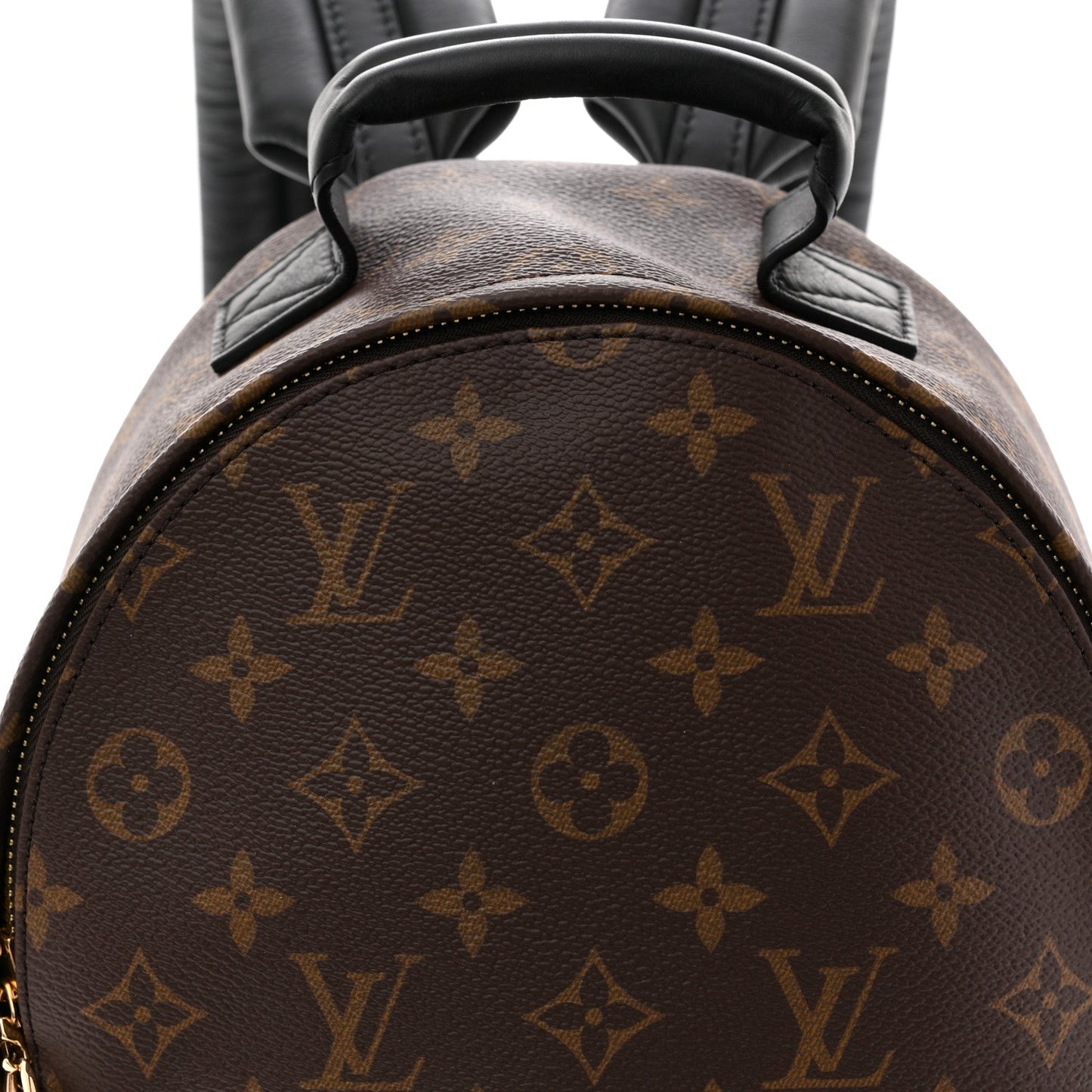 Reverse Monogram Palm Springs Backpack PM