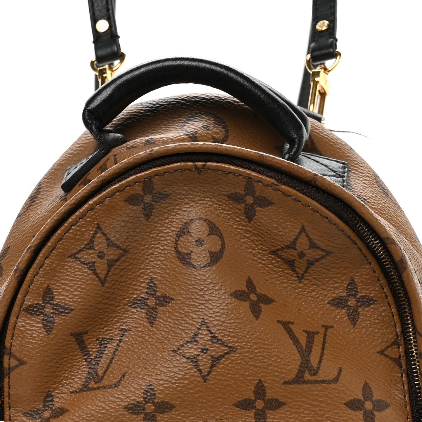 Reverse Monogram Palm Springs Backpack Mini