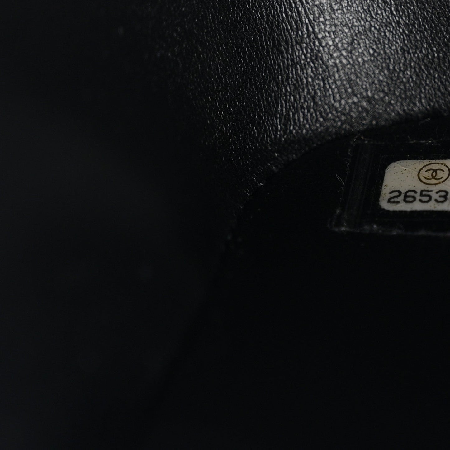 Lizard Mini Rectangular Flap Black
