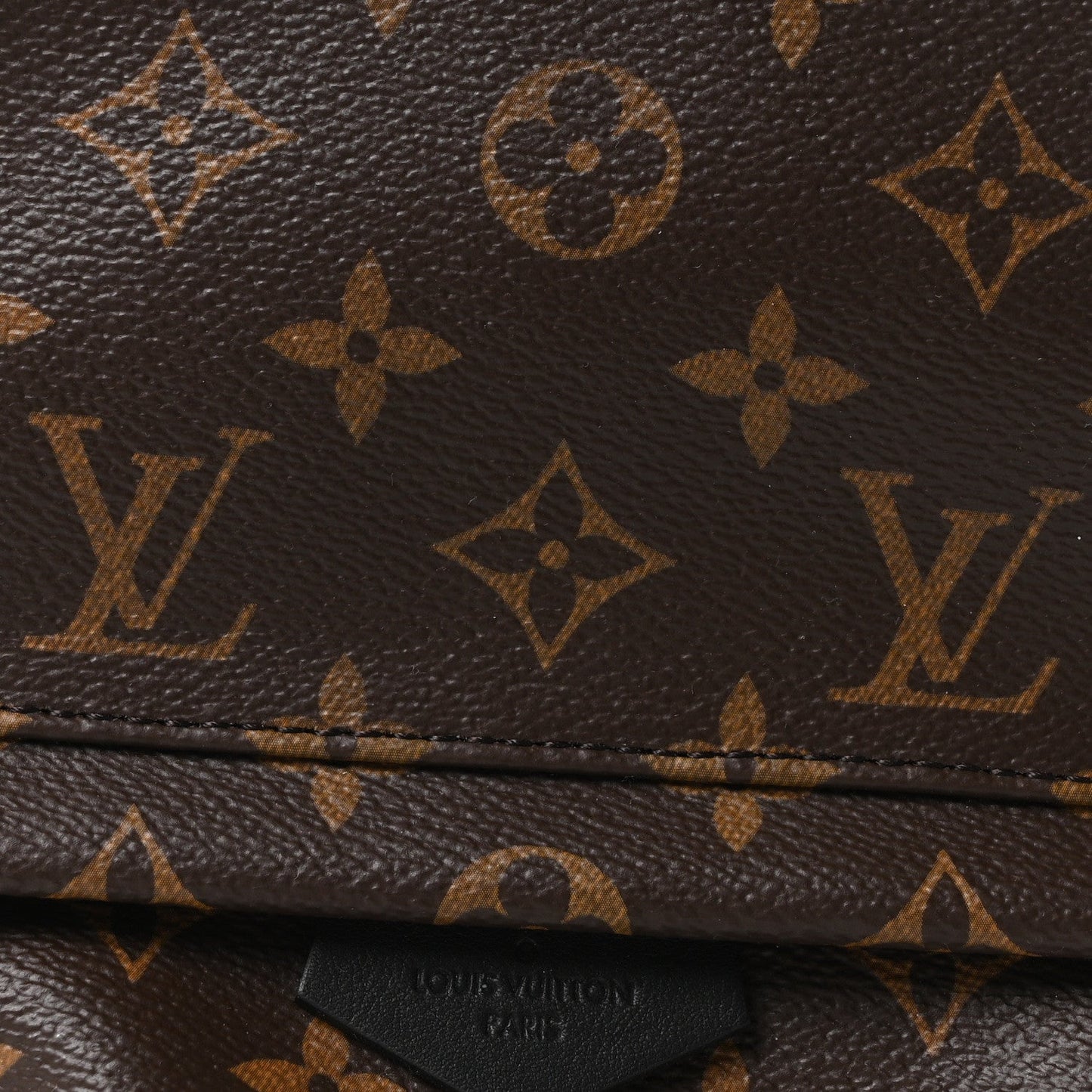 Monogram Palm Springs Backpack PM