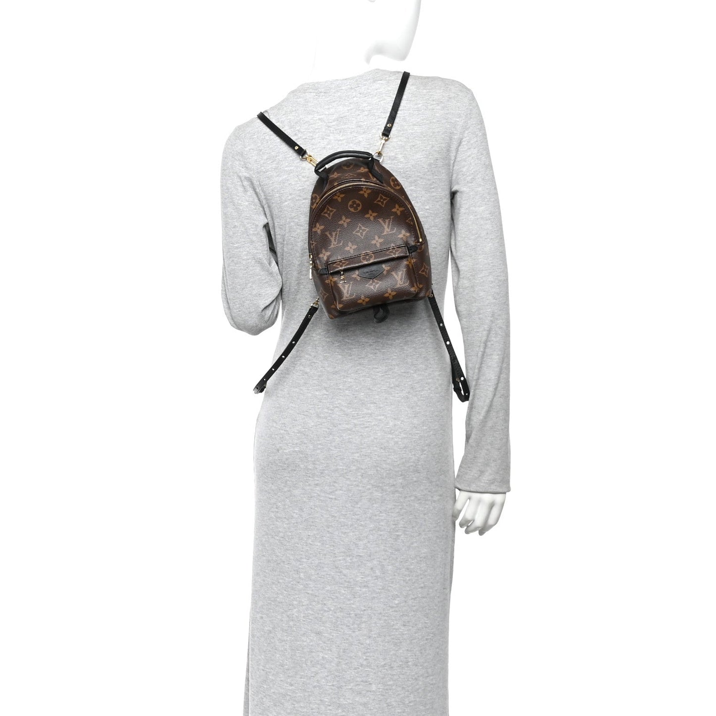 Monogram Palm Springs Backpack Mini