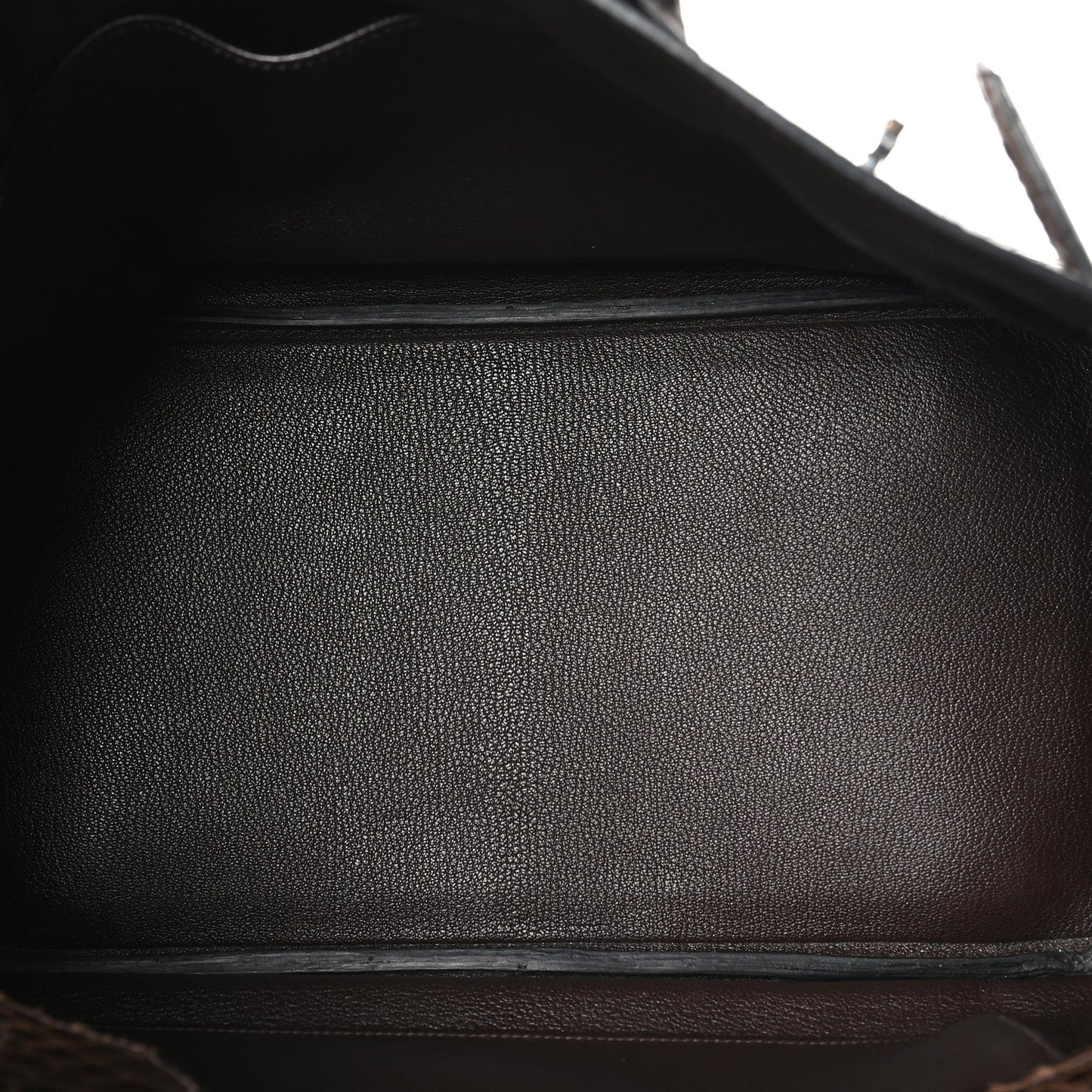 Shiny Porosus Crocodile Birkin 35 Havane