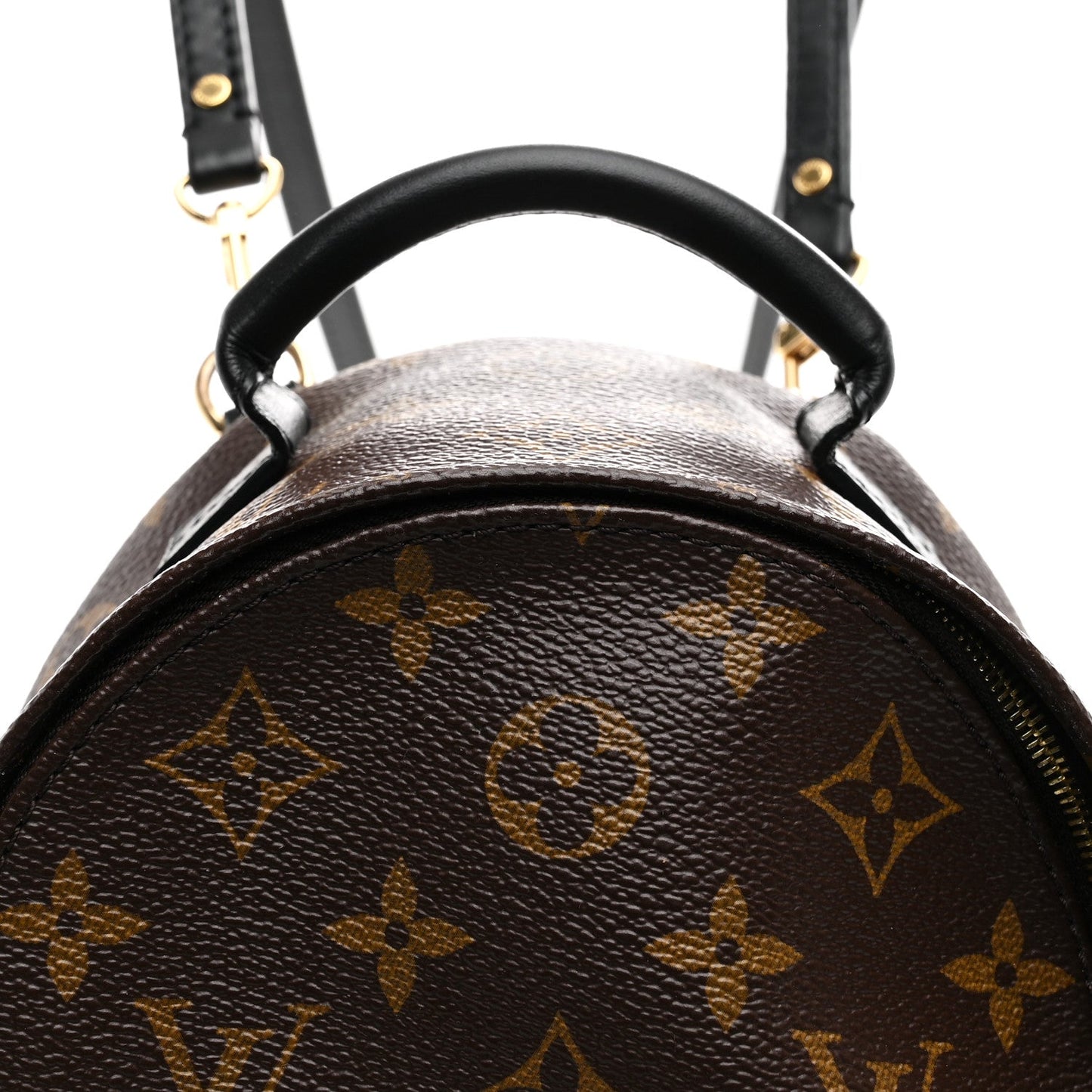 Monogram Palm Springs Backpack Mini