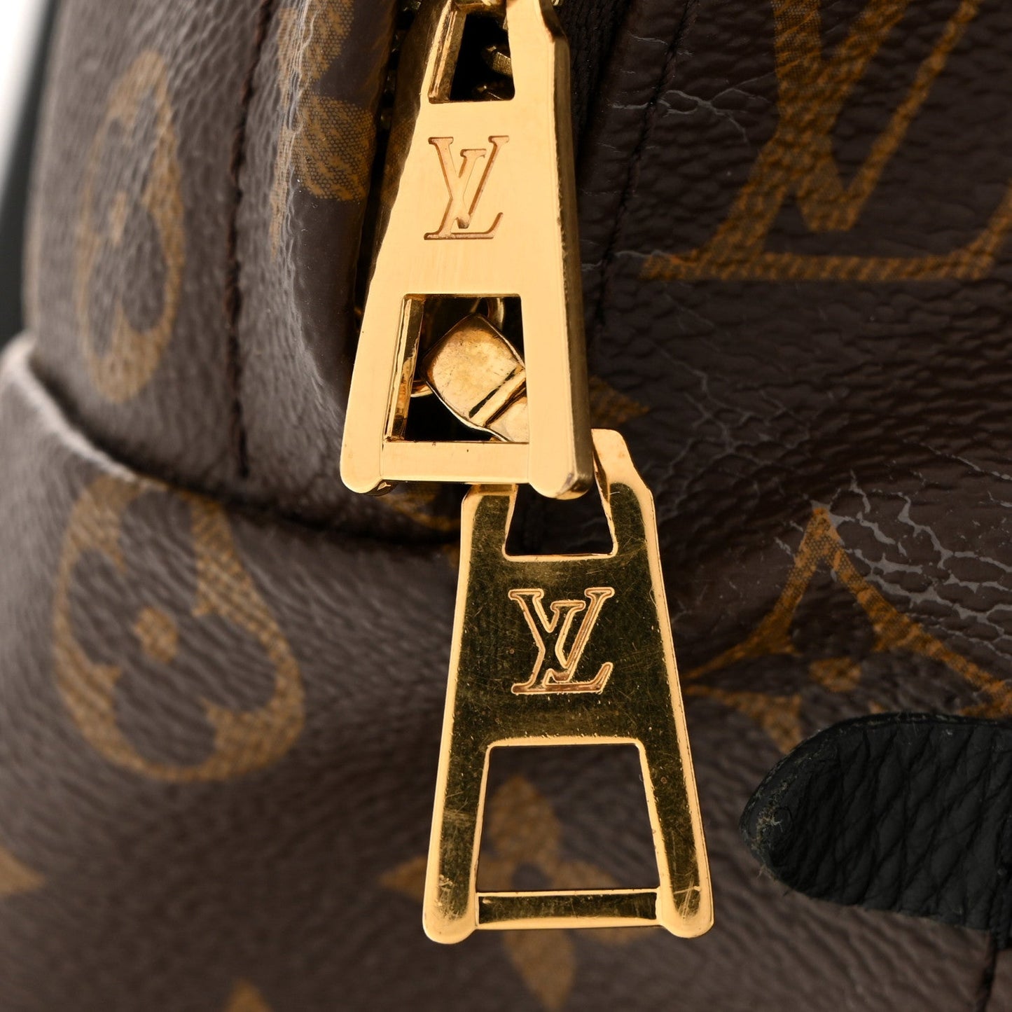 Monogram Palm Springs Backpack MM
