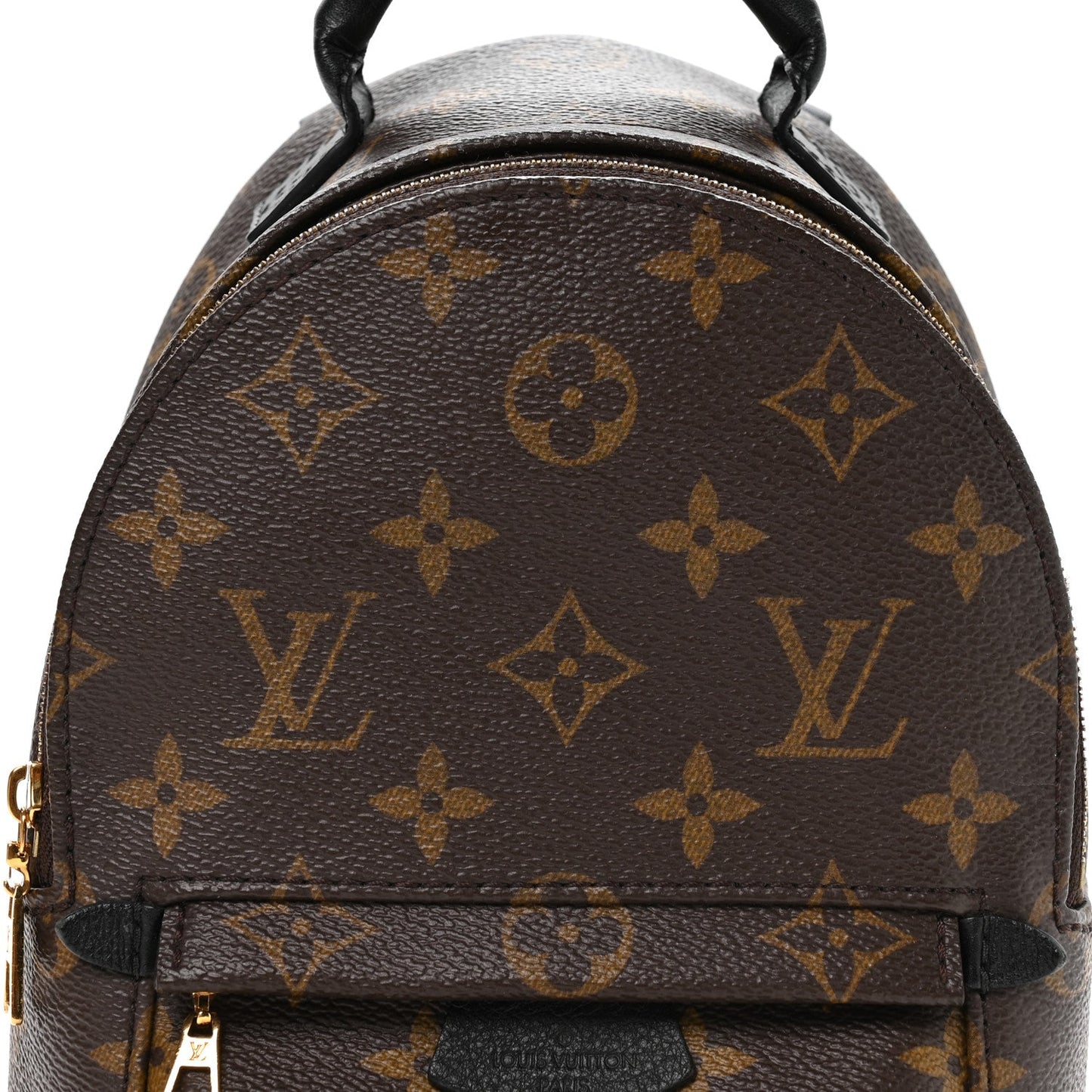 Monogram Palm Springs Backpack Mini