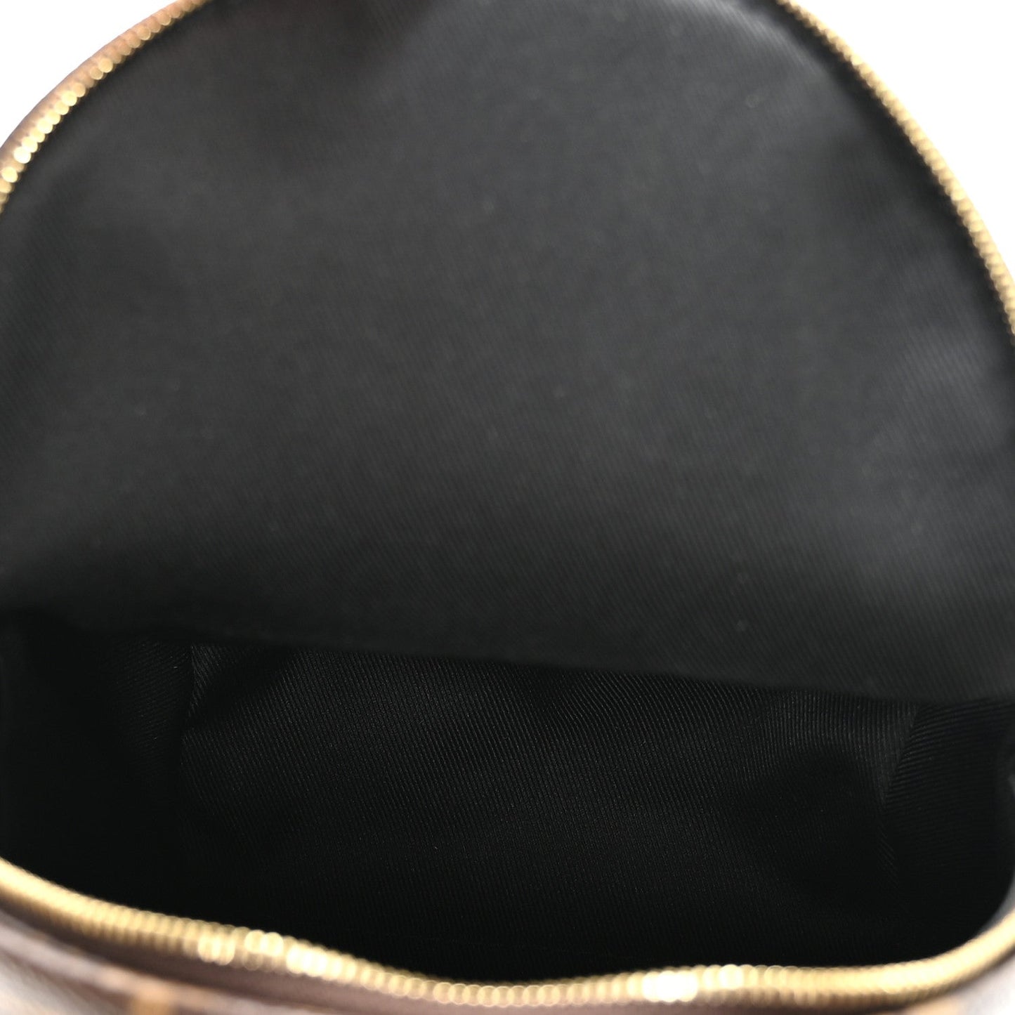 Monogram Palm Springs Backpack Mini