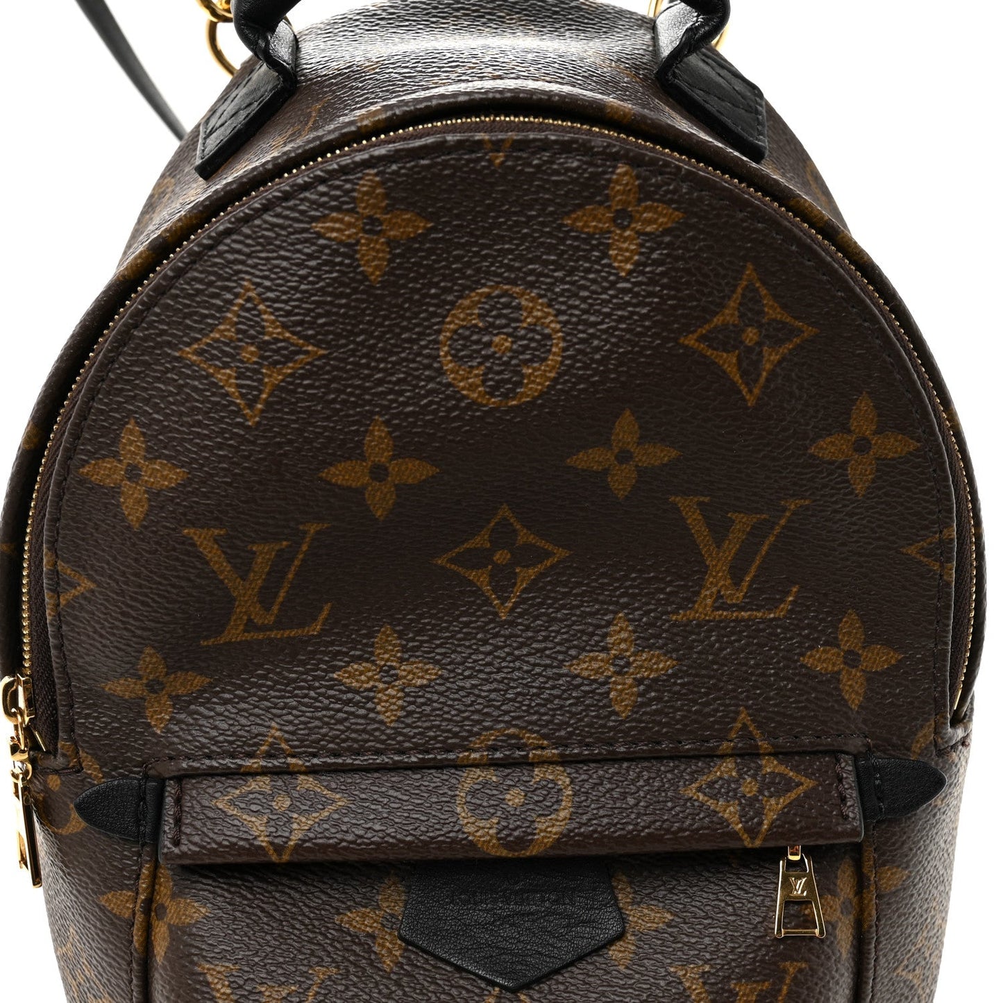 Monogram Palm Springs Backpack Mini