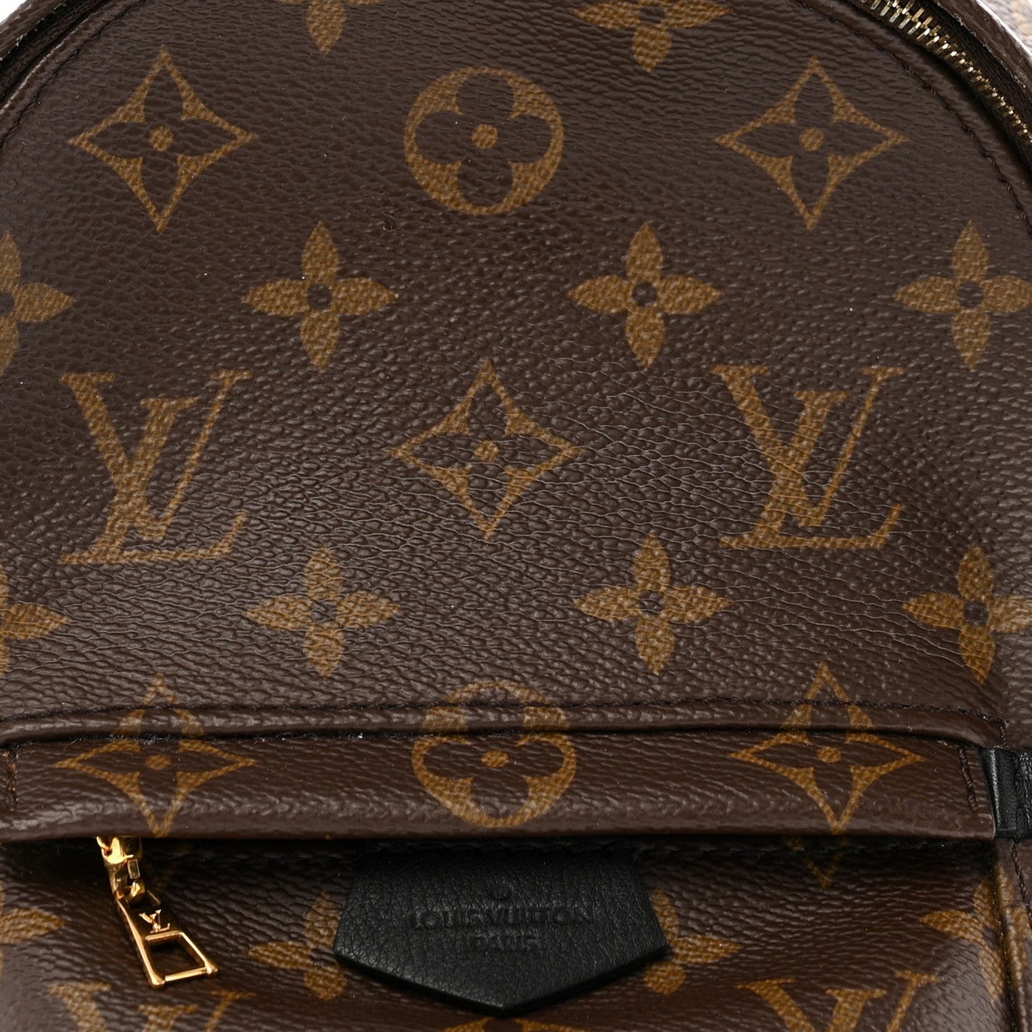 Monogram Palm Springs Backpack Mini