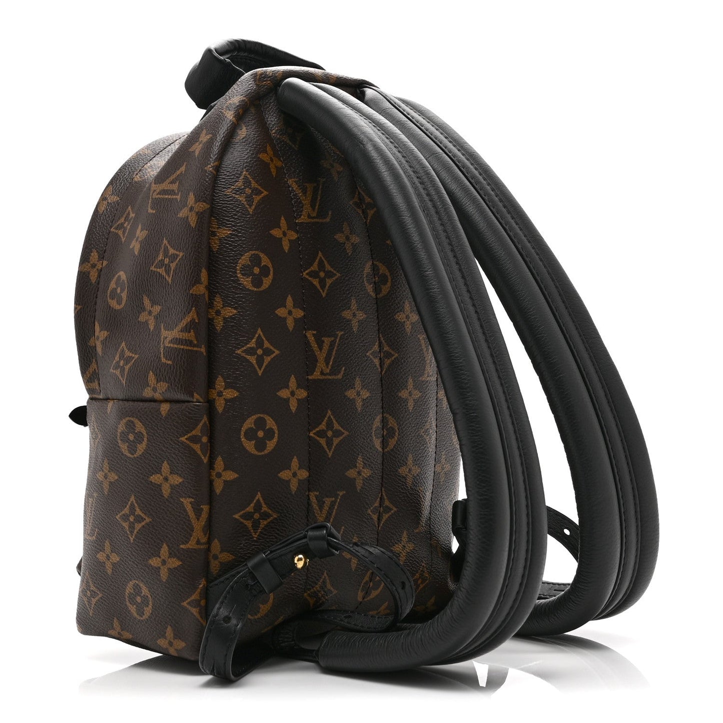 Monogram Palm Springs Backpack PM