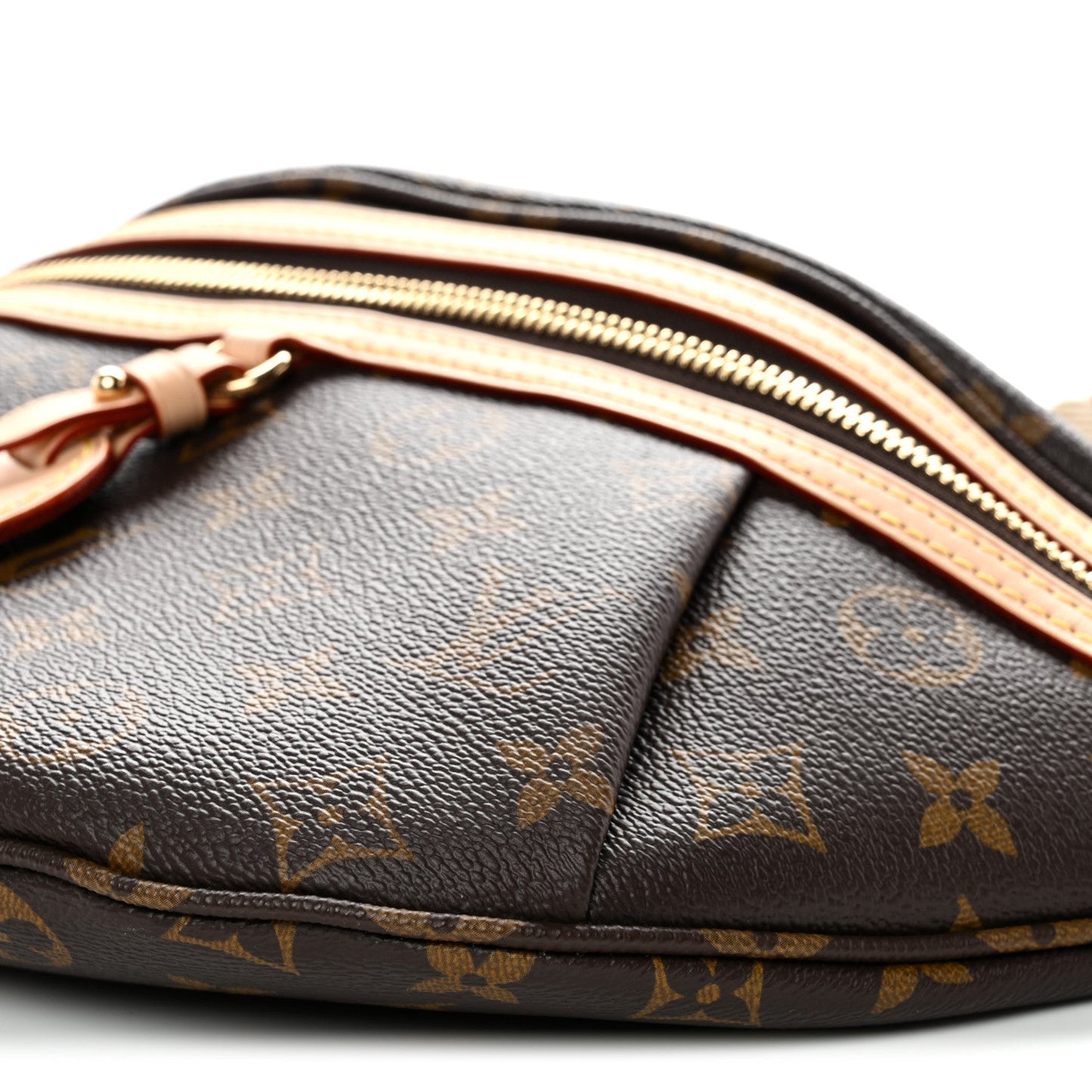 Monogram High Rise Bumbag