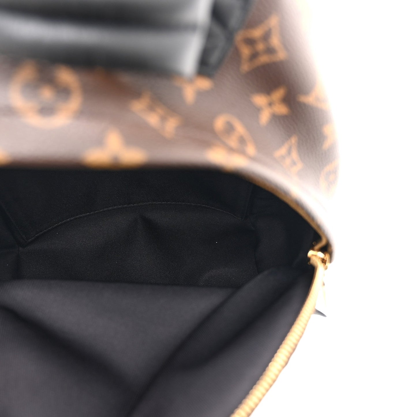 Monogram Palm Springs Backpack PM