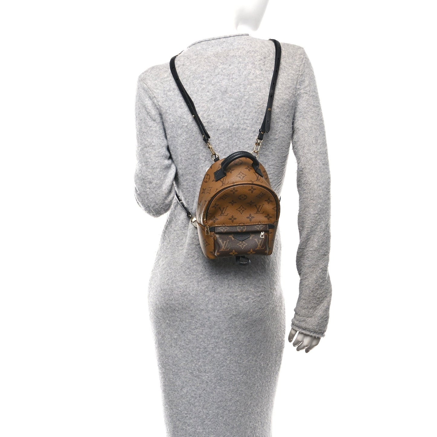 Reverse Monogram Palm Springs Backpack Mini