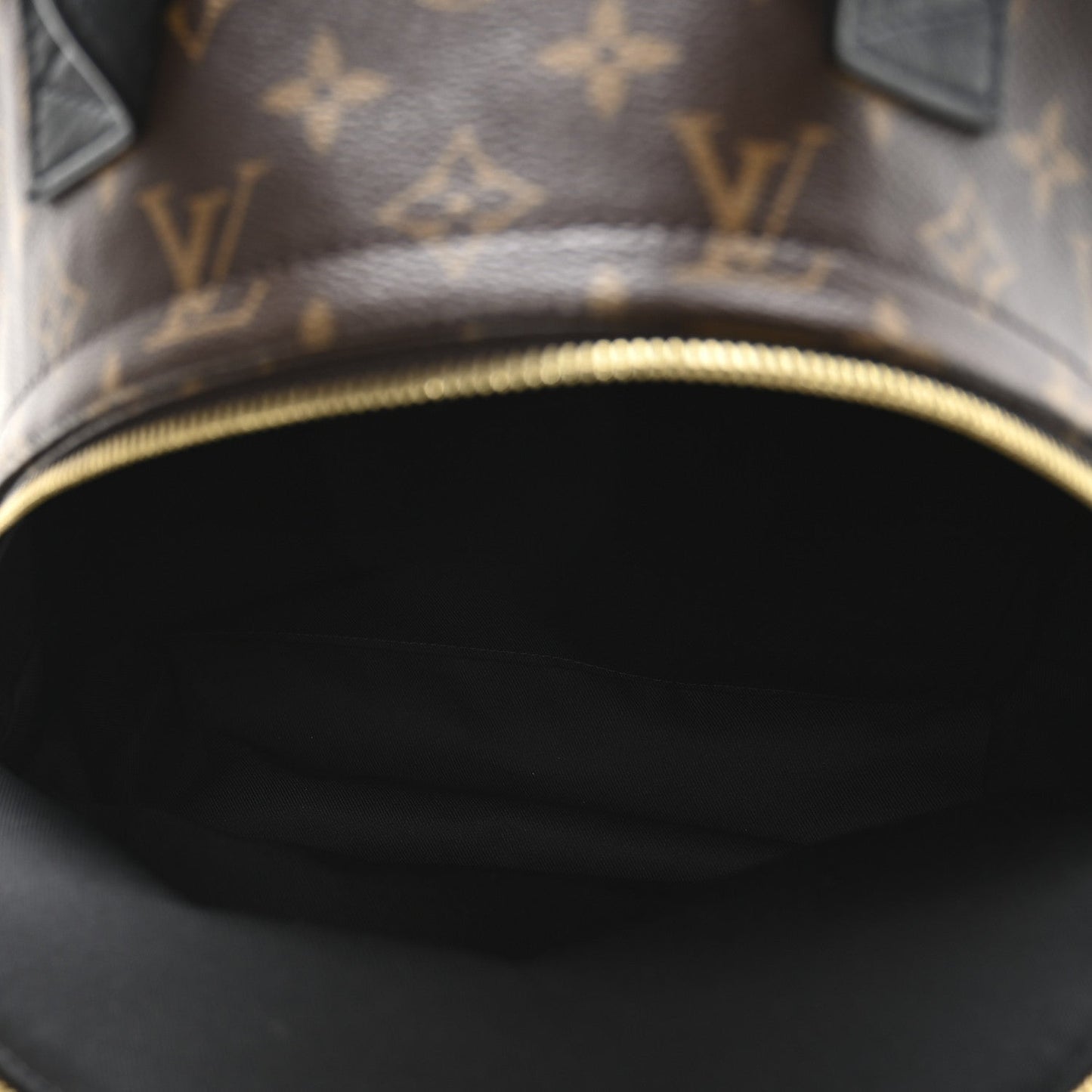 Monogram Palm Springs Backpack MM