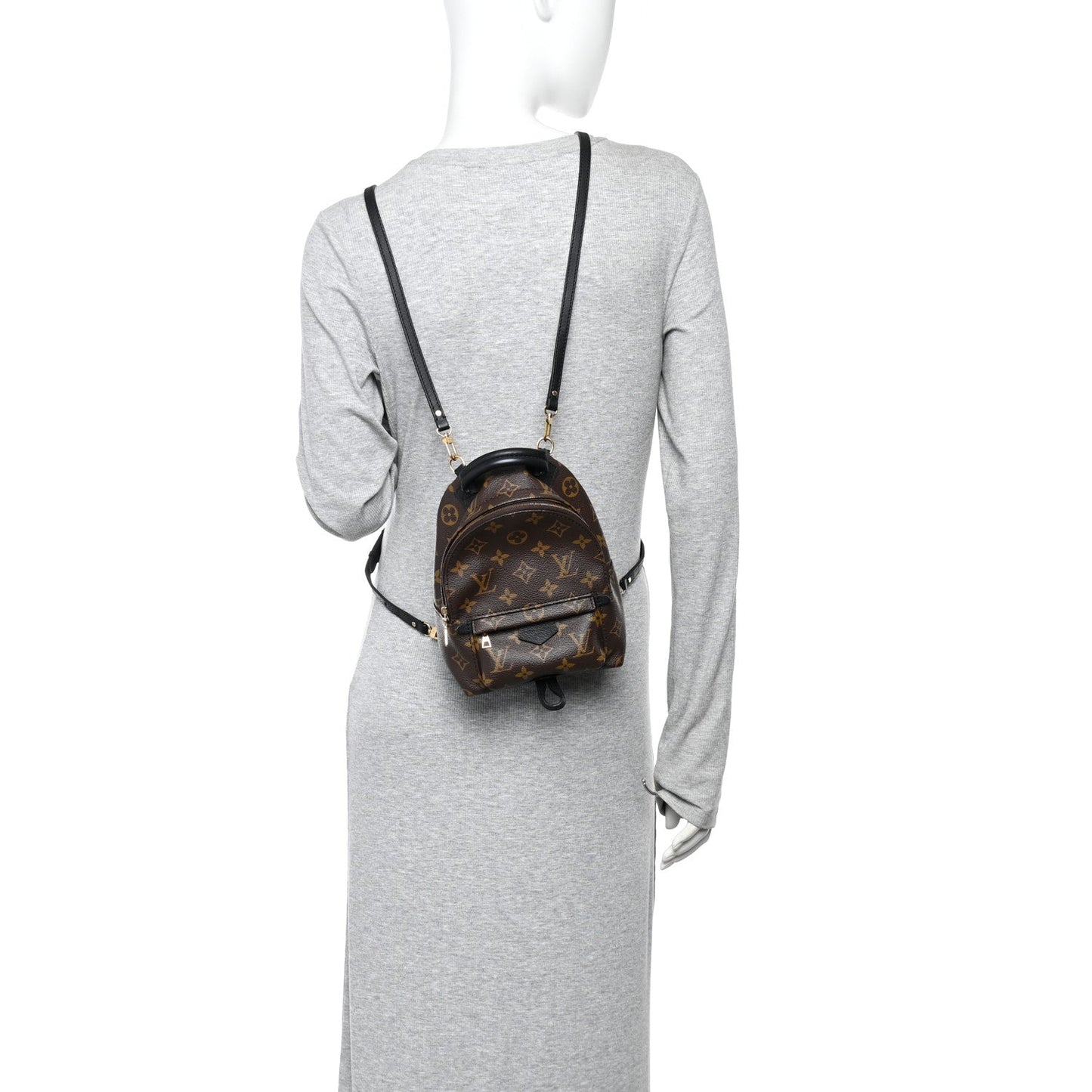 Monogram Palm Springs Backpack Mini