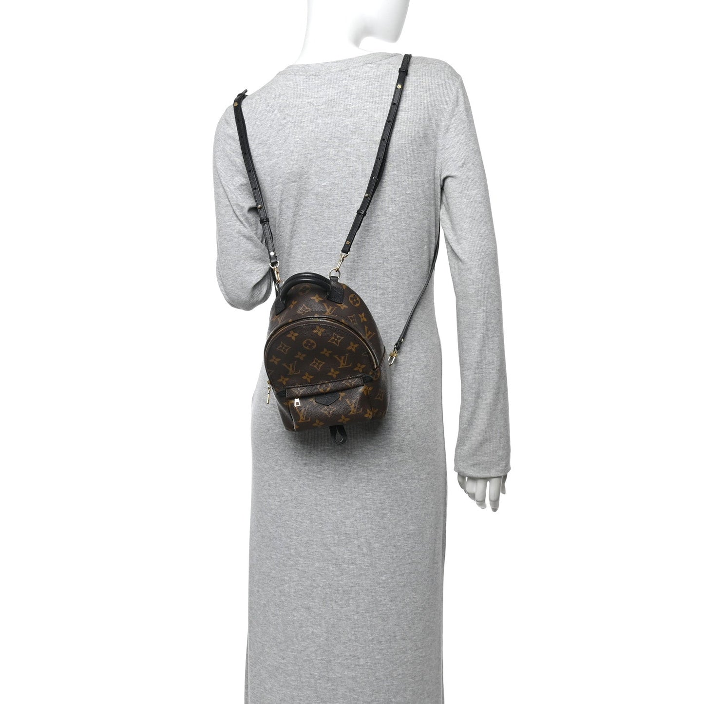 Monogram Palm Springs Backpack Mini