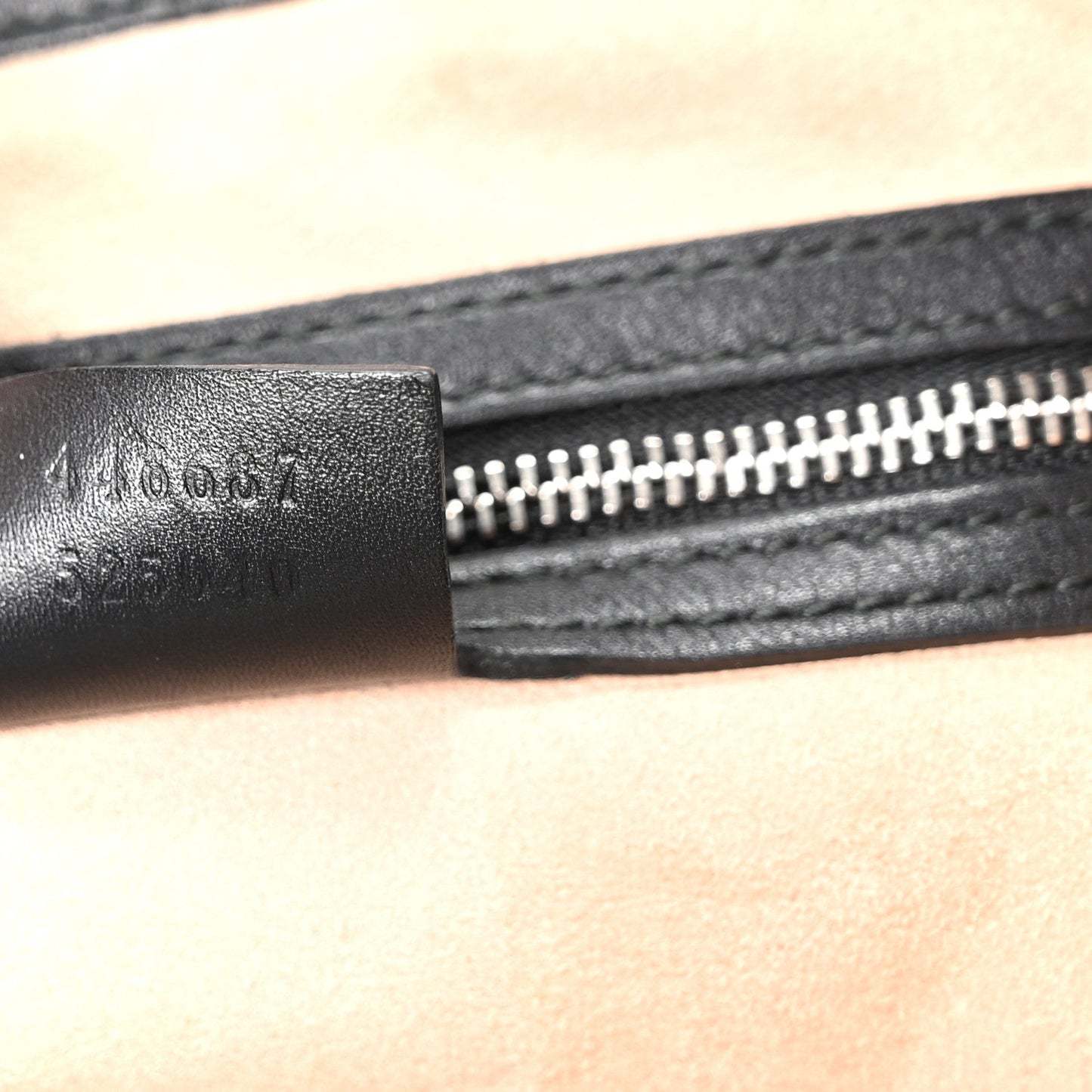 Calfskin Web Stripe Medium Dionysus Hobo Black