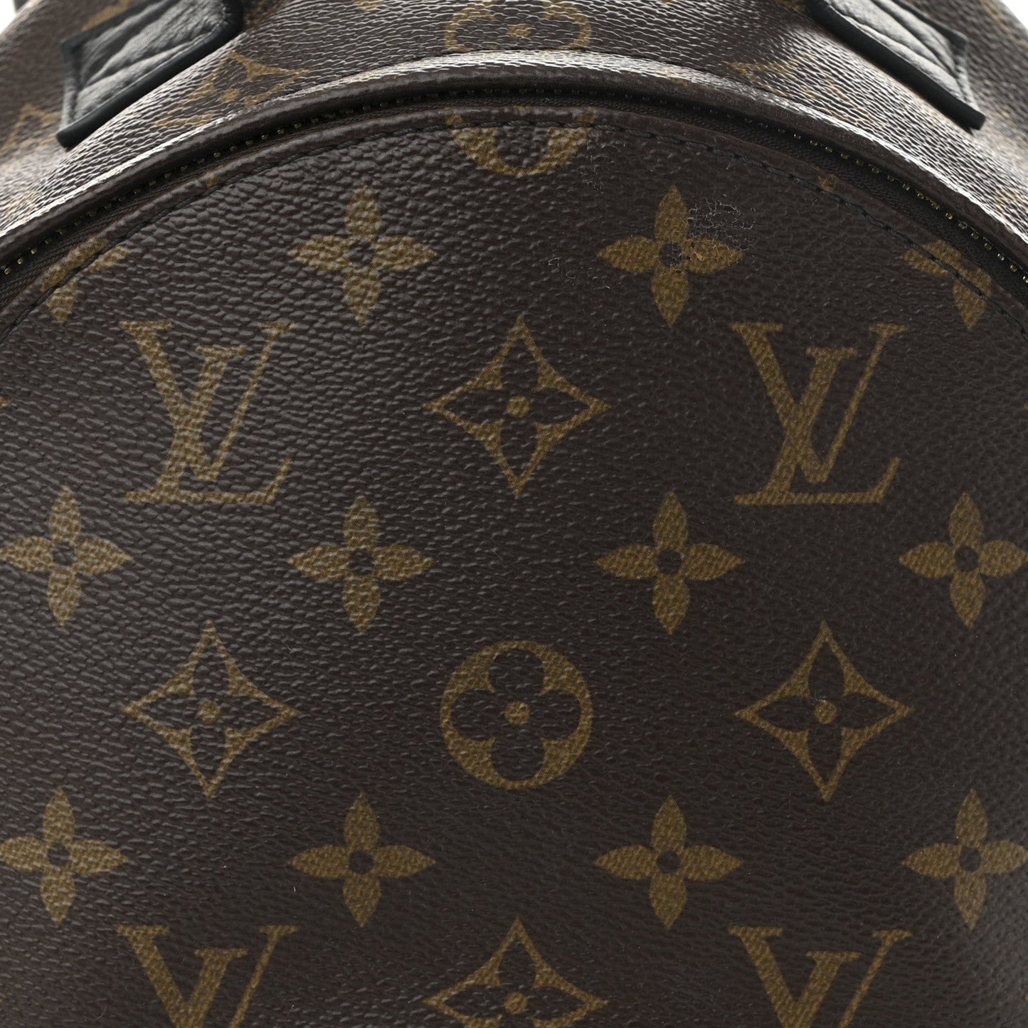 Monogram Palm Springs Backpack PM