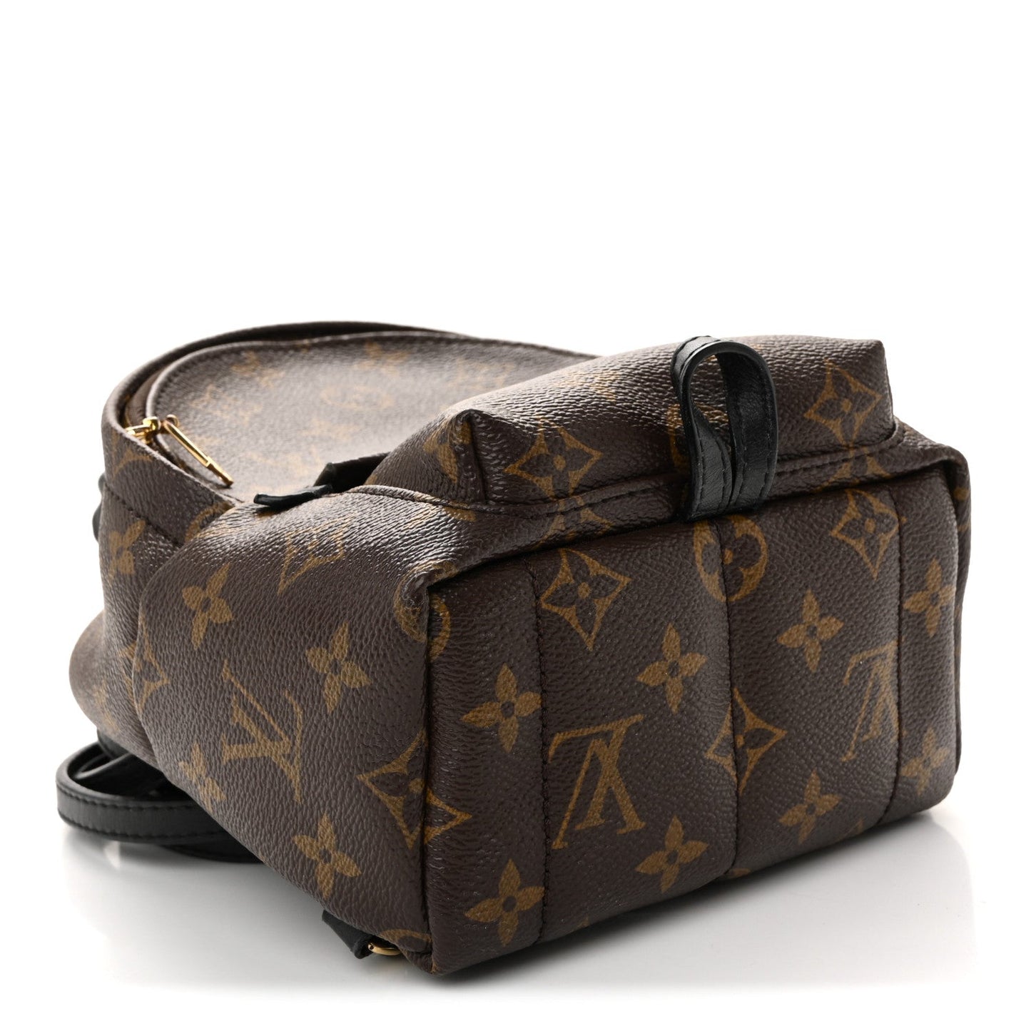 Monogram Palm Springs Backpack Mini