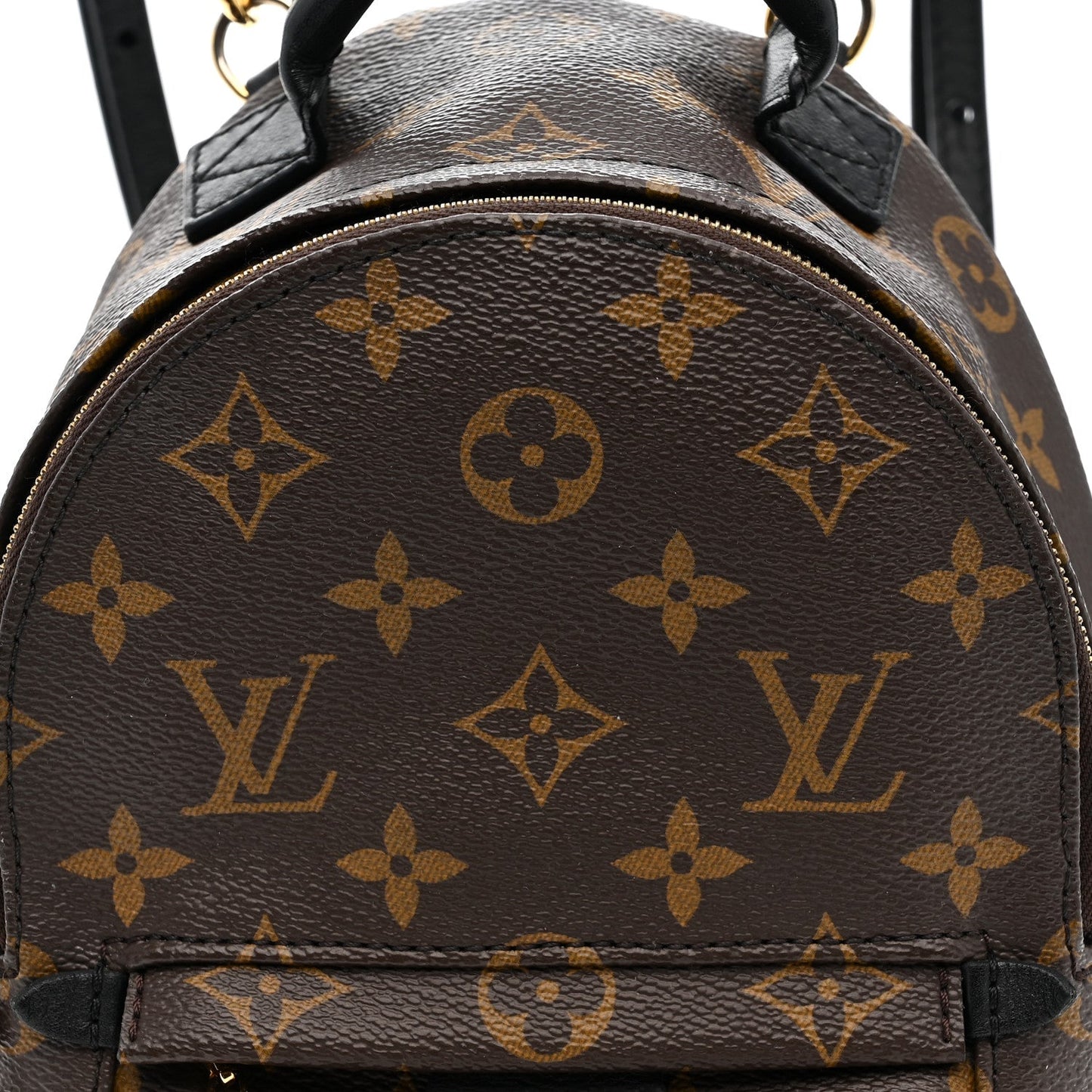 Monogram Palm Springs Backpack Mini