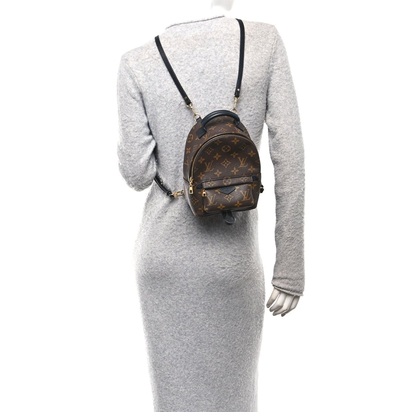 Monogram Palm Springs Backpack Mini
