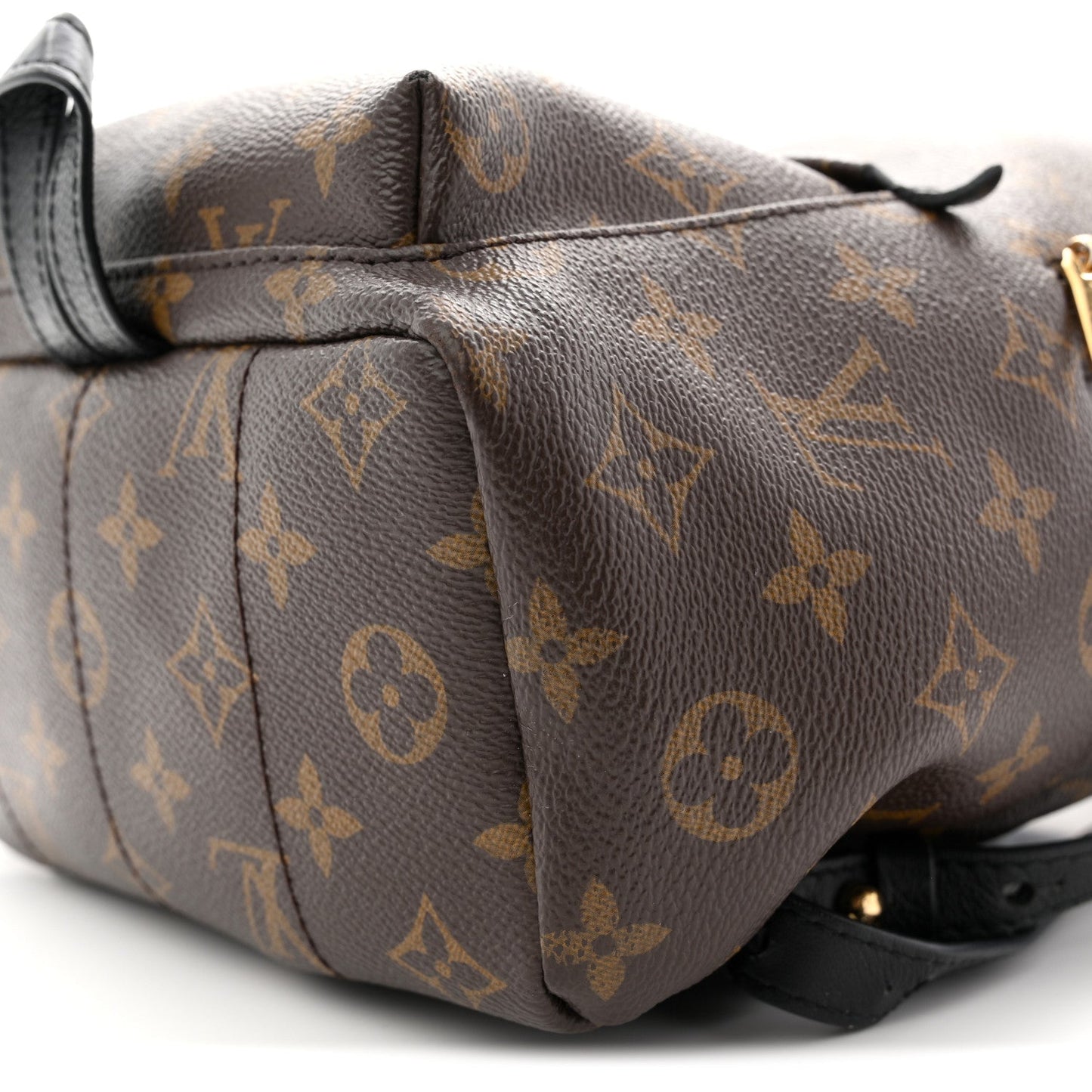 Monogram Palm Springs Backpack PM