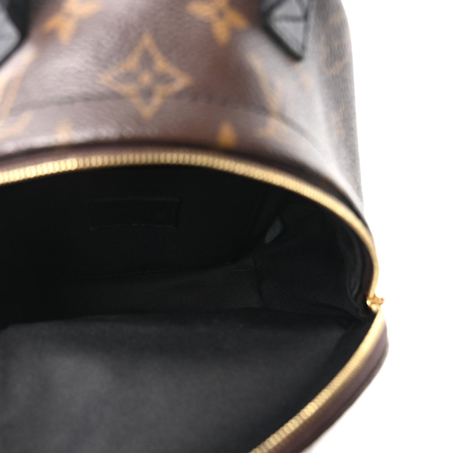 Monogram Palm Springs Backpack Mini