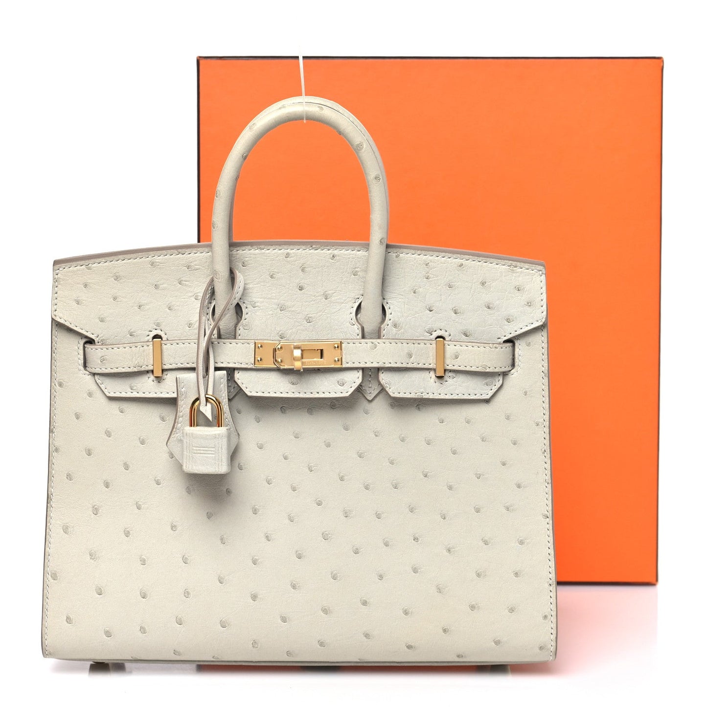 Ostrich Birkin Sellier 25 Gris Perle