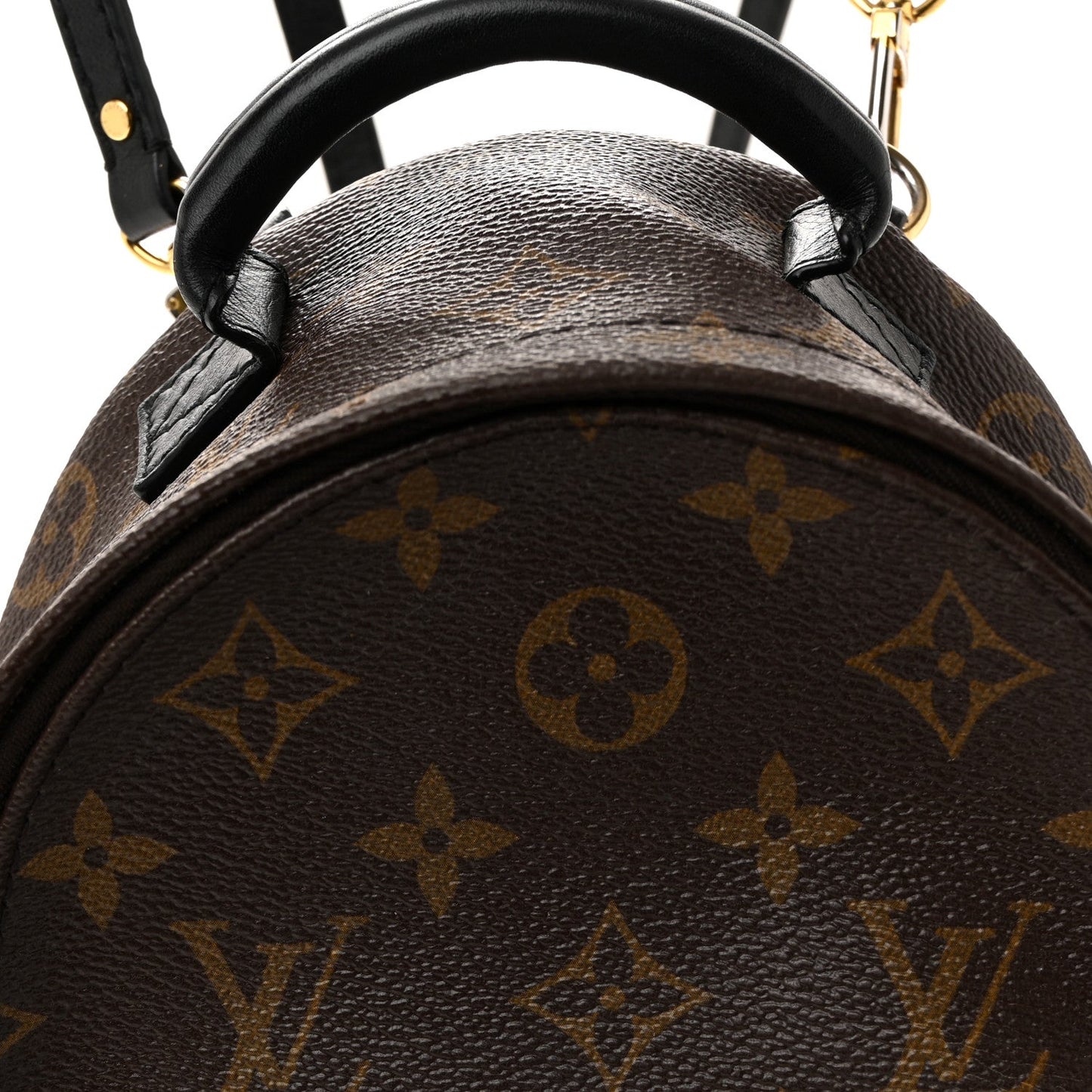 Monogram Palm Springs Backpack Mini