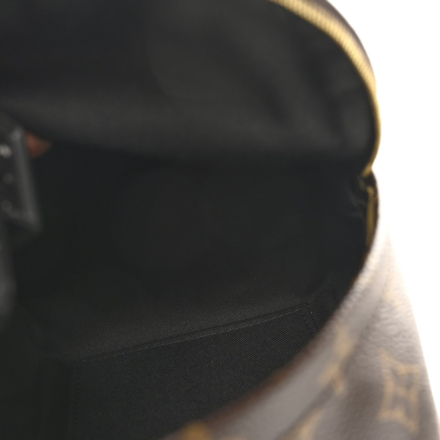 Monogram Palm Springs Backpack Mini
