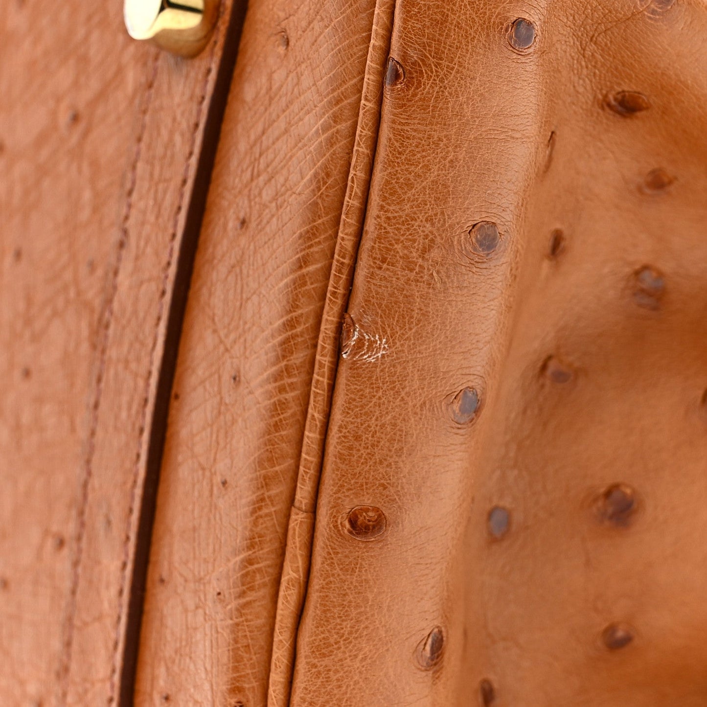 Ostrich Birkin 30 Cognac