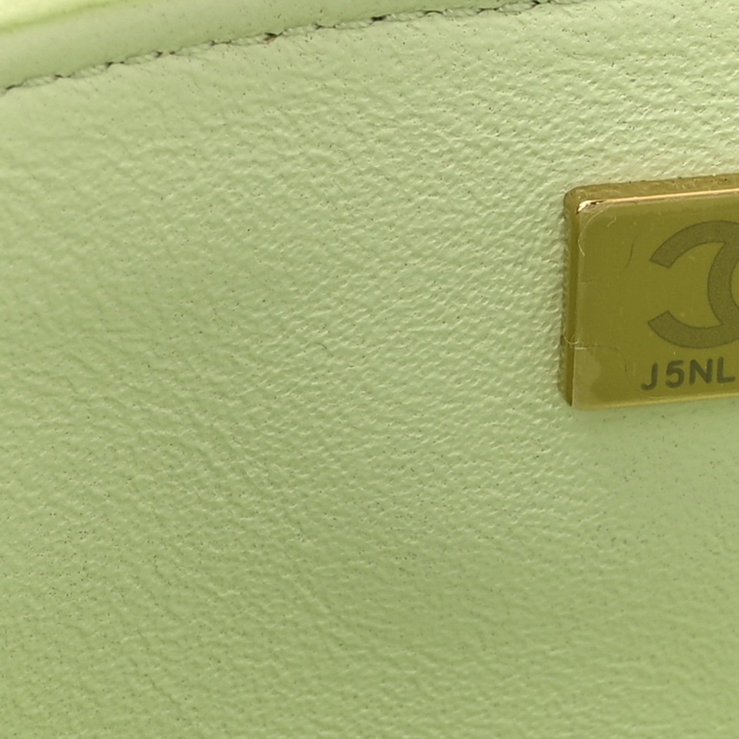 Lambskin Quilted Trendy Vanity Case Sea Green