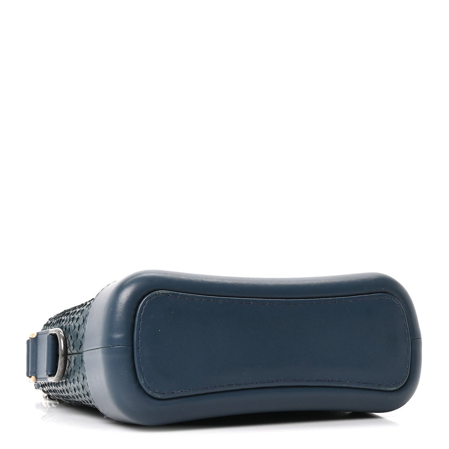 Snakeskin Small Gabrielle Hobo Blue