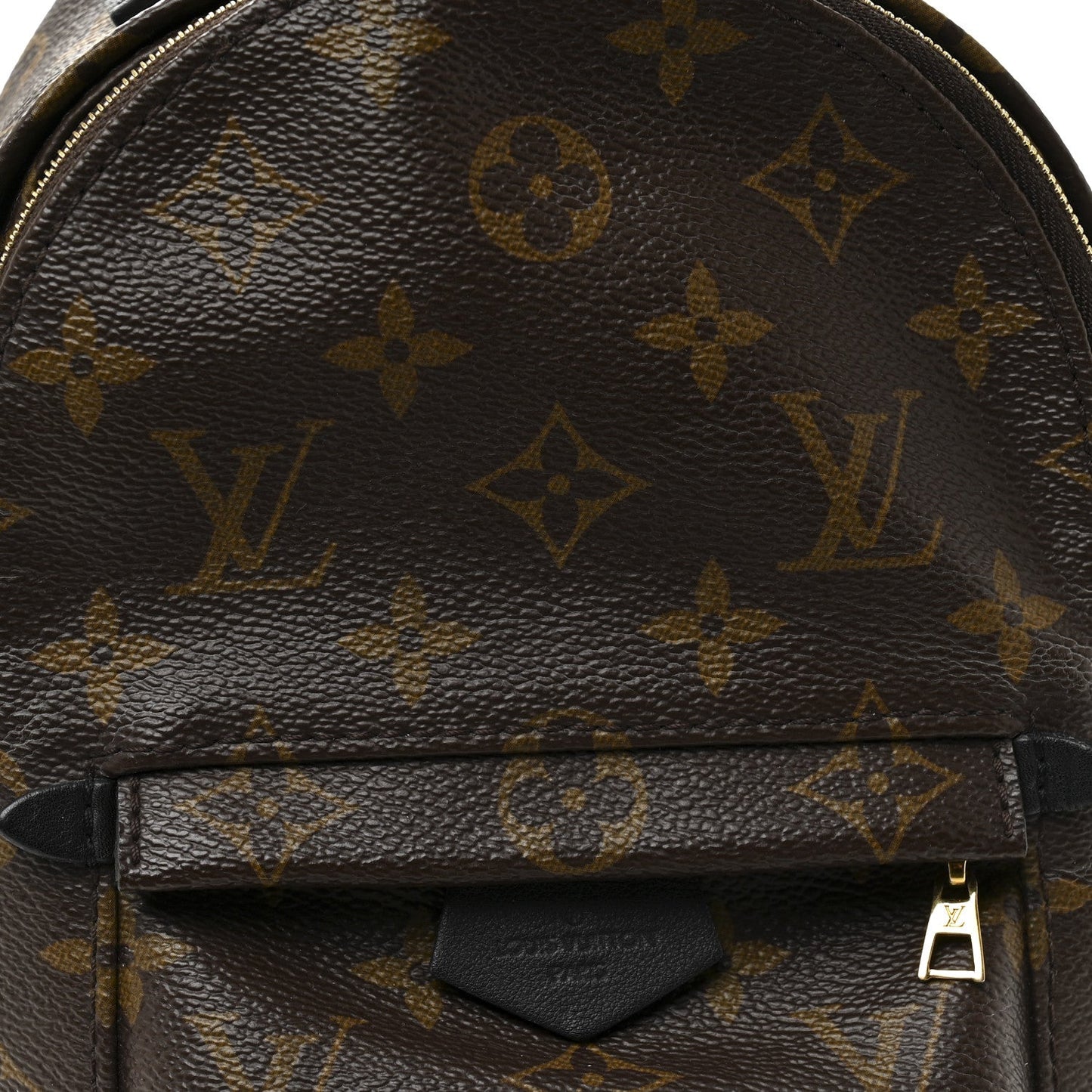 Monogram Palm Springs Backpack Mini