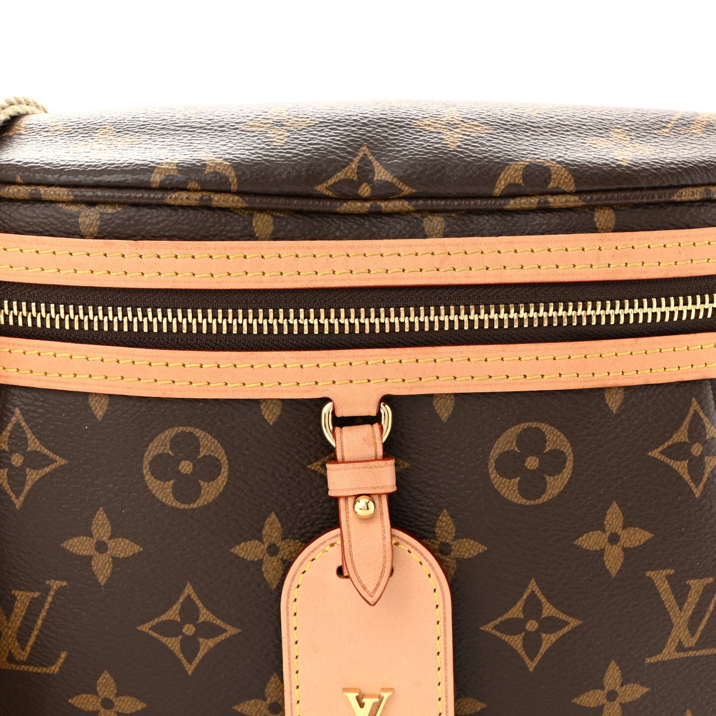 Monogram High Rise Bumbag