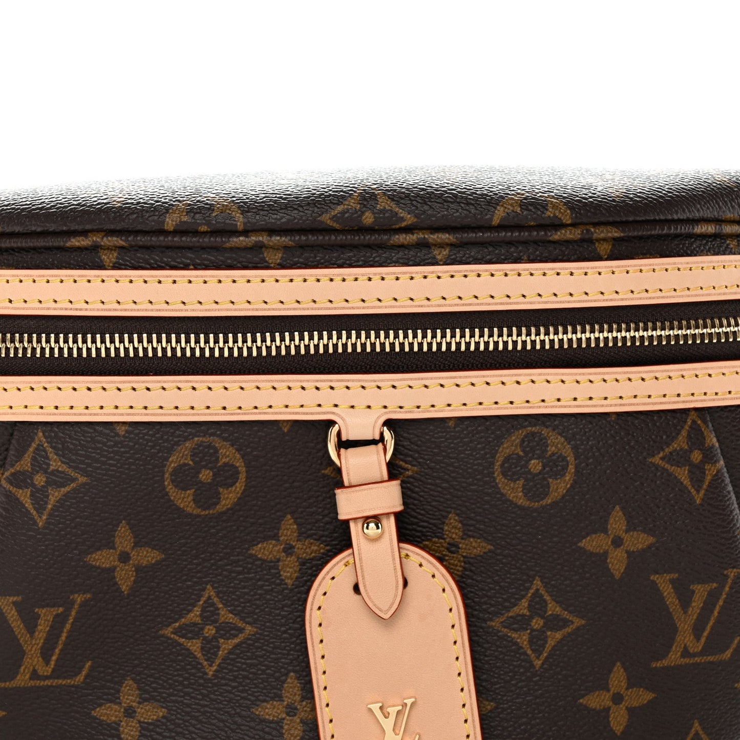 Monogram High Rise Bumbag