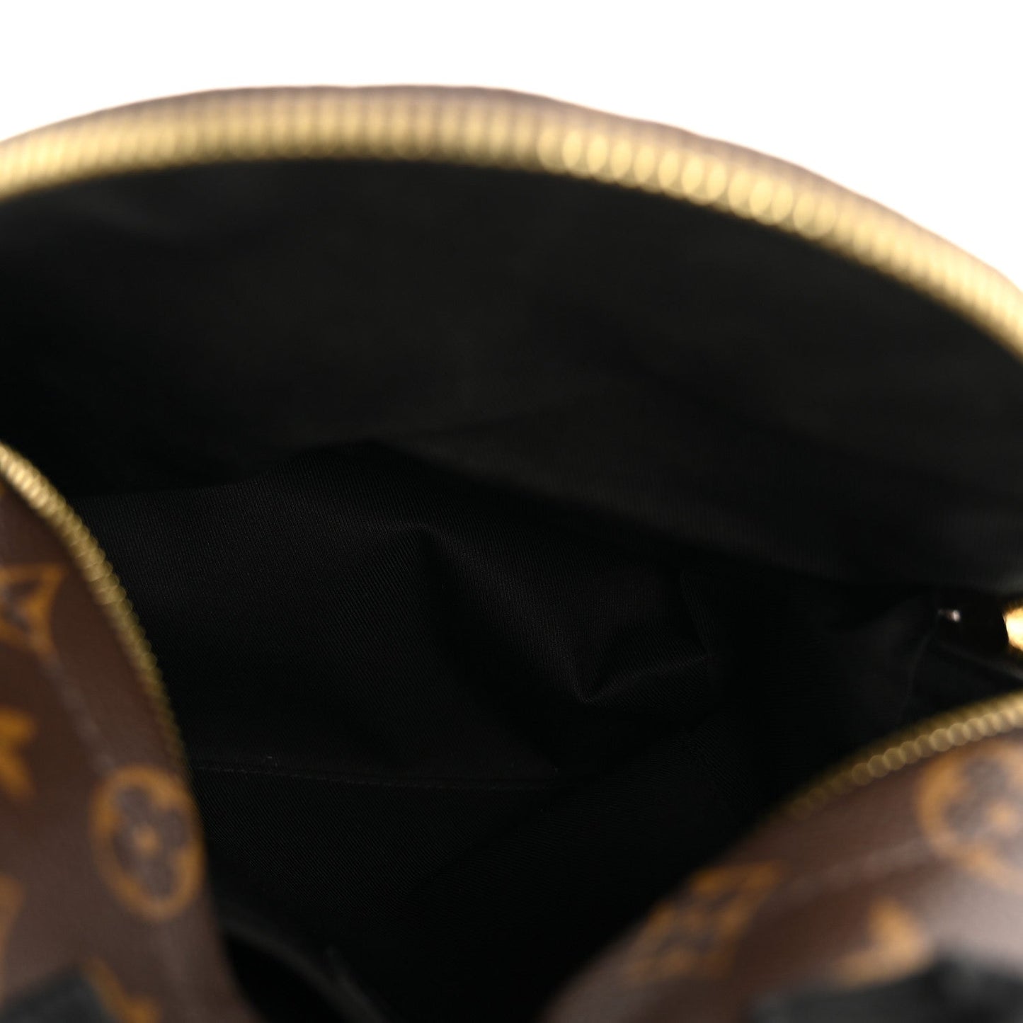 Monogram Palm Springs Backpack PM