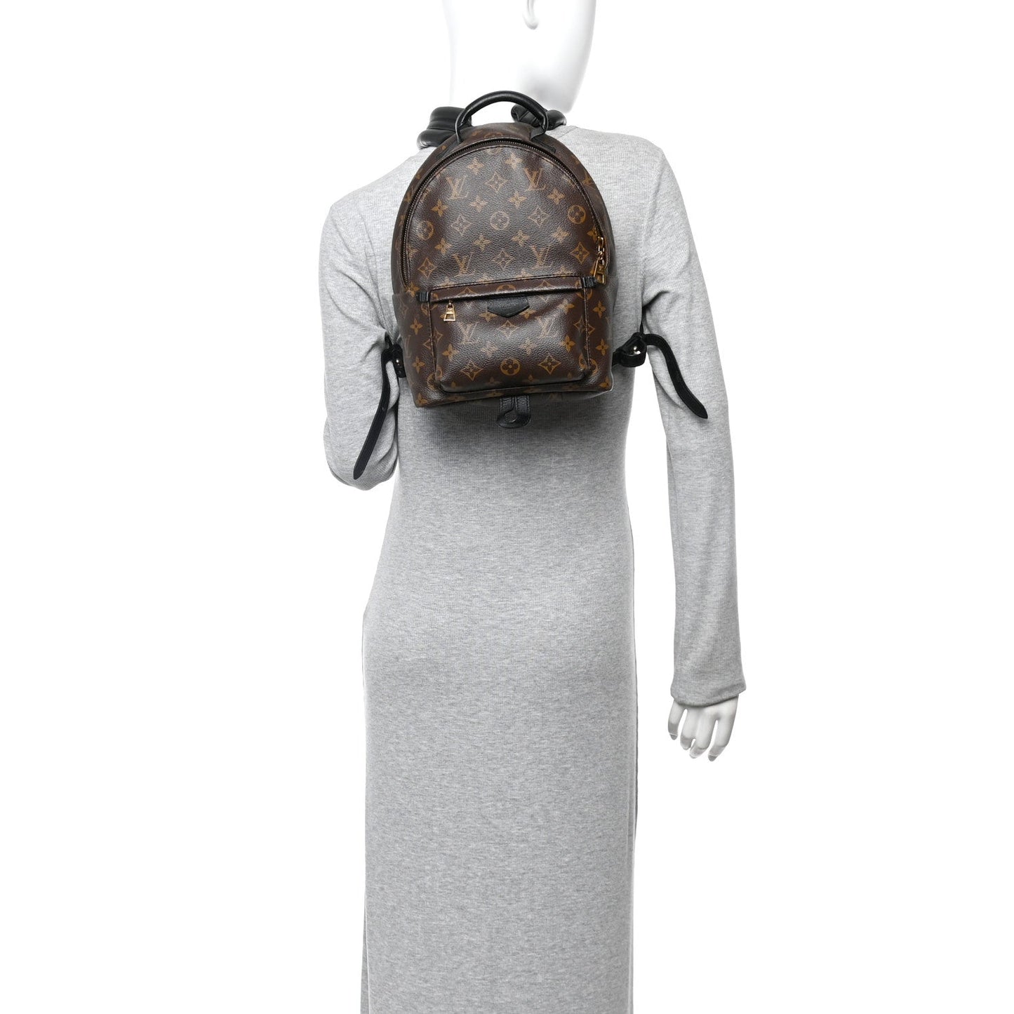 Monogram Palm Springs Backpack PM