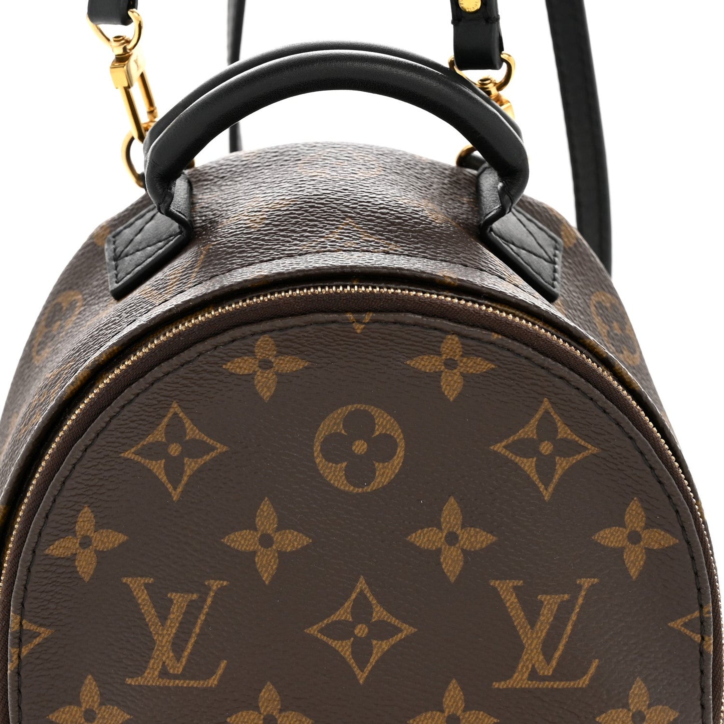 Monogram Palm Springs Backpack Mini