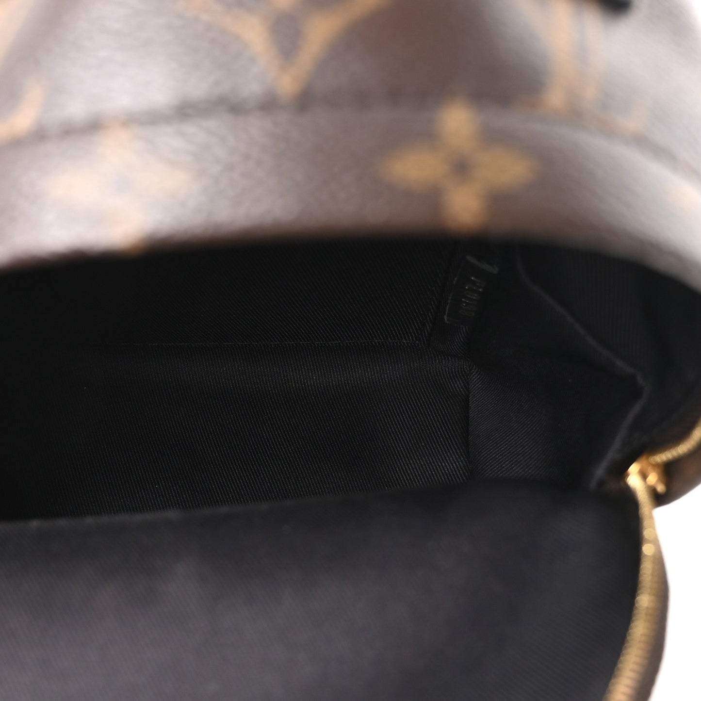 Monogram Palm Springs Backpack Mini