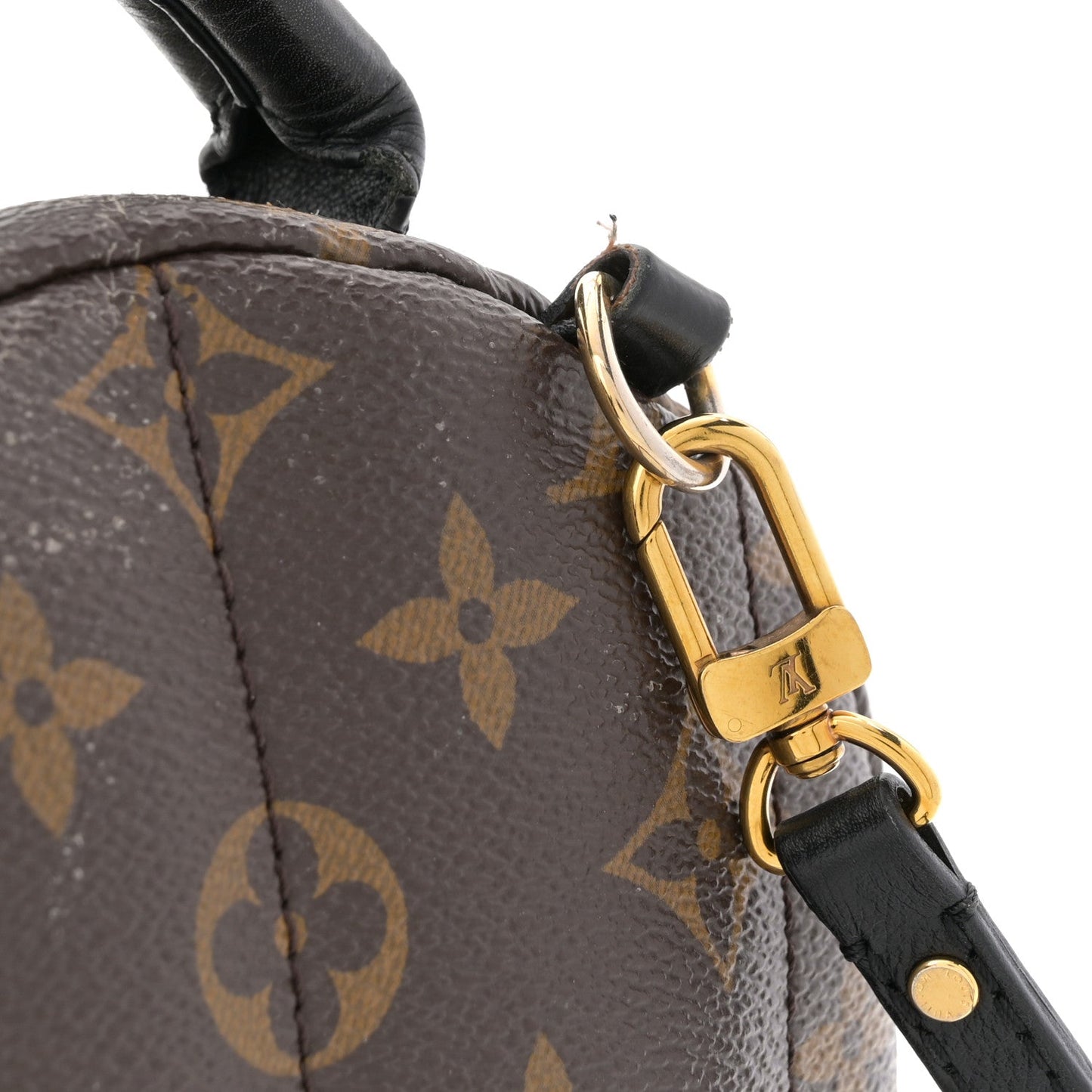 Monogram Palm Springs Backpack Mini
